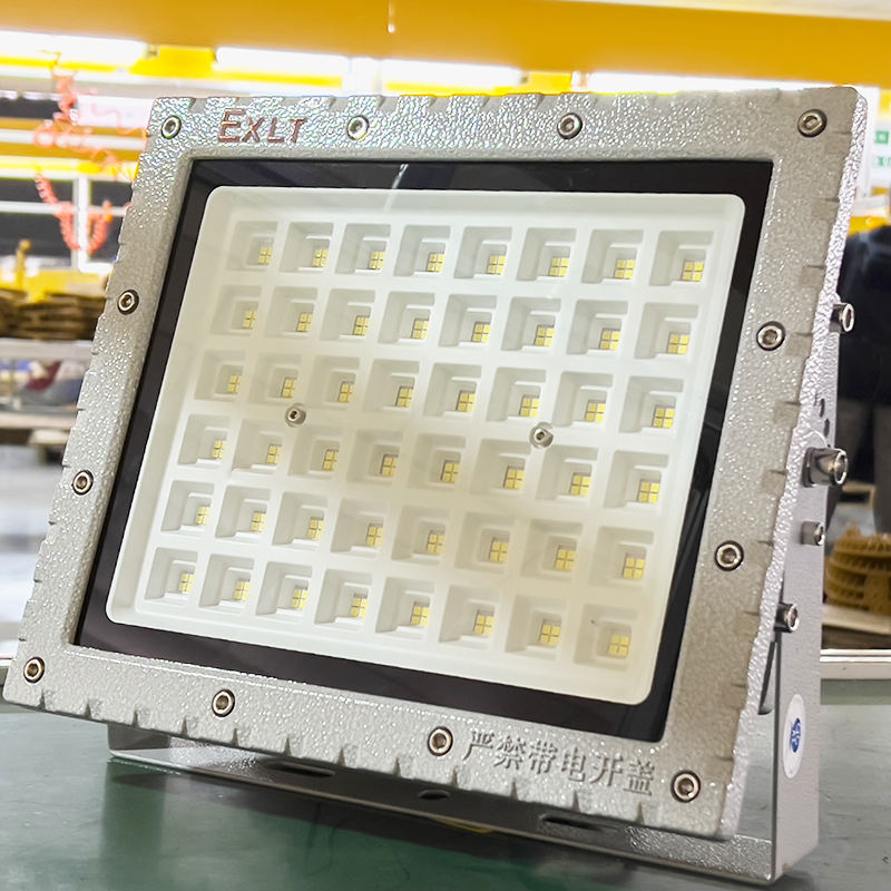 Đèn pha LED chống cháy nổ SMD 100w - TDL-GCK