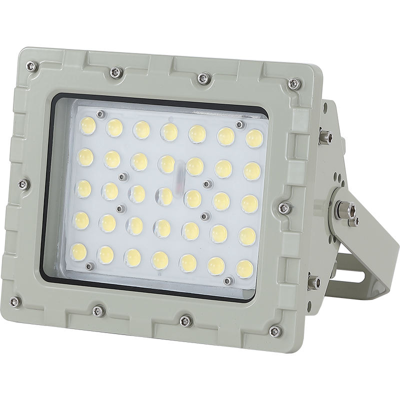 Đèn chống cháy nổ 50w (TDL-GJK-TGD) - Hình ảnh sản phẩm