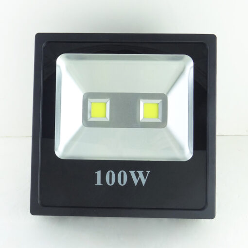 Đèn Pha Led Ngoài Trời IP66 F1 100w (TDLF-RIP66100)