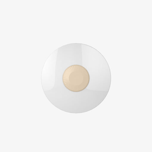 Đèn LED ốp trần LN26 250/18W Rạng Đông
